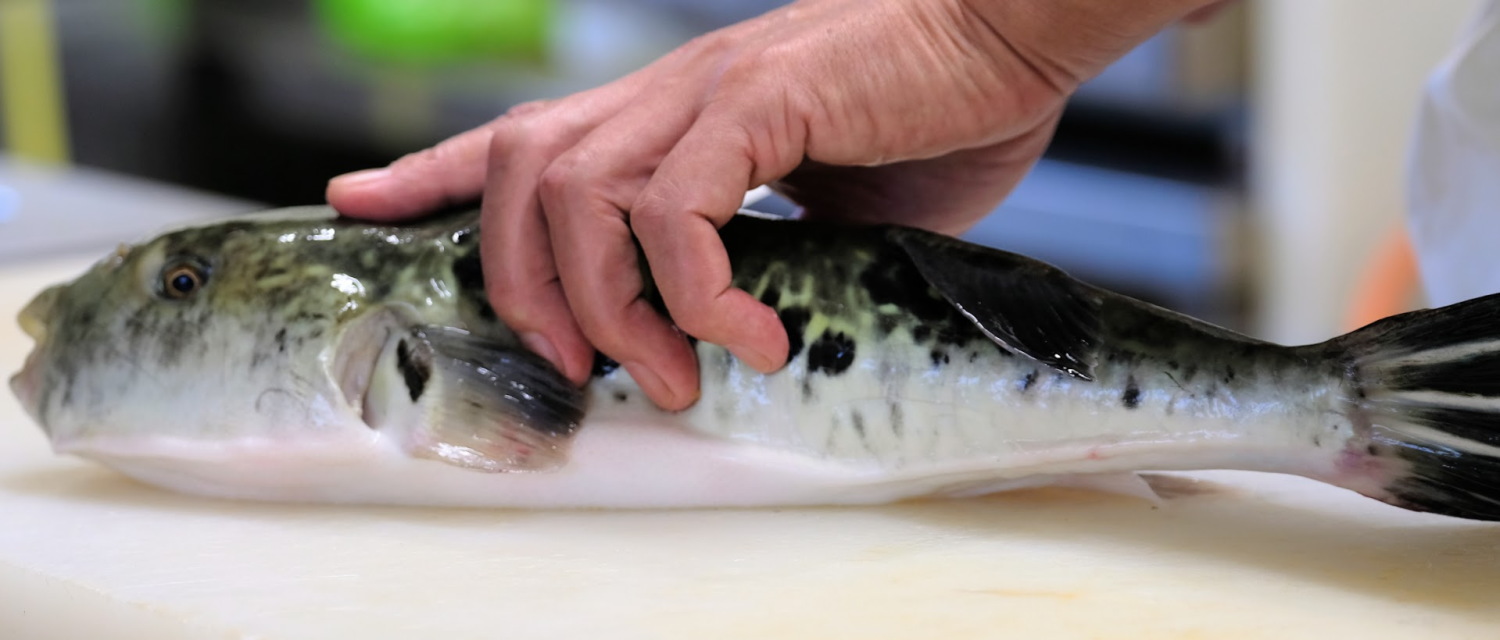 三重ブランド認定あのりふぐ